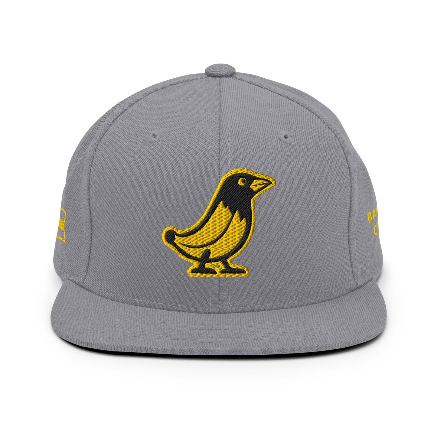 Banana Crow Allegiance embroidered snapback cap in Silver front view