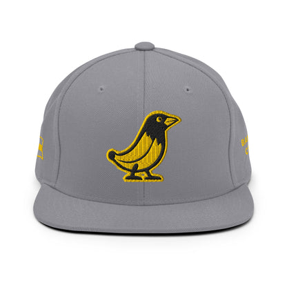 Banana Crow Allegiance embroidered snapback cap in Silver front view
