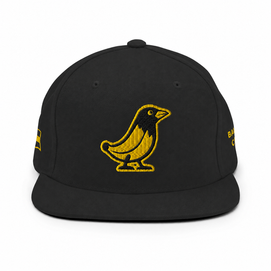 Banana Crow Allegiance embroidered snapback cap in Black front view
