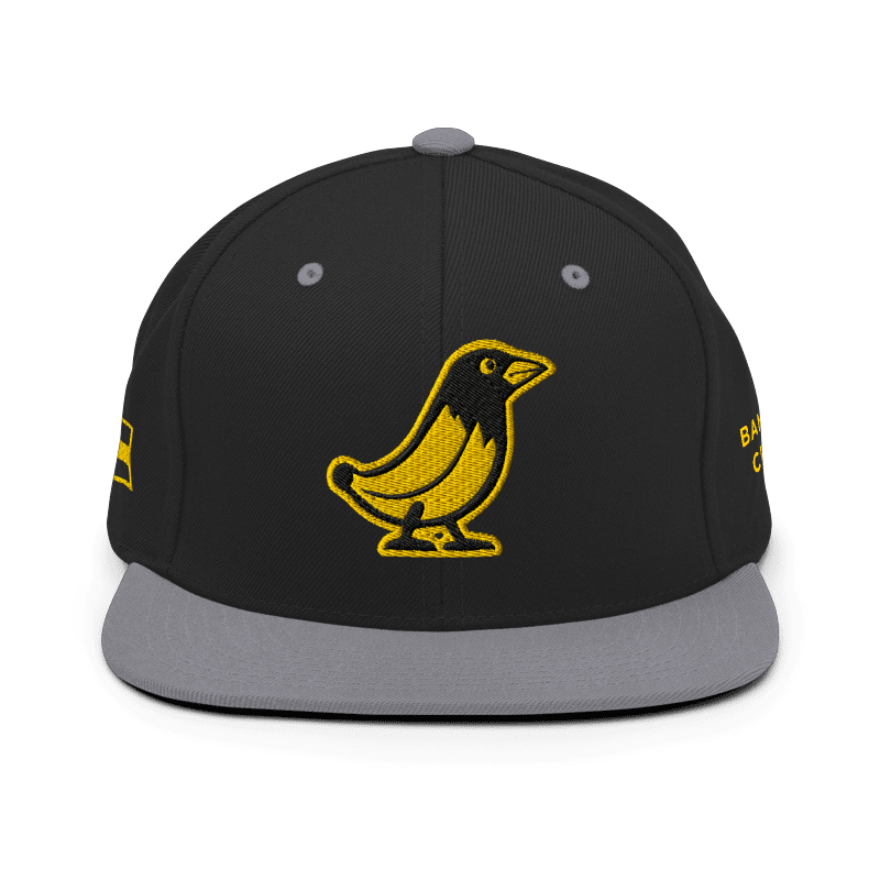 Banana Crow Allegiance embroidered snapback cap in Black / Silver front view