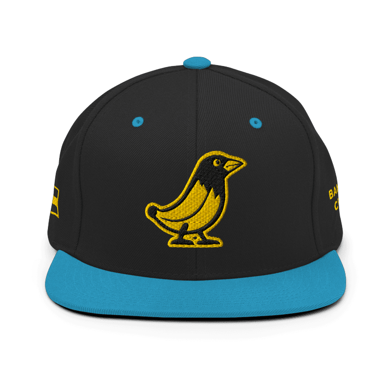 Banana Crow Allegiance embroidered snapback cap in Black / Teal front view