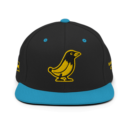 Banana Crow Allegiance embroidered snapback cap in Black / Teal front view