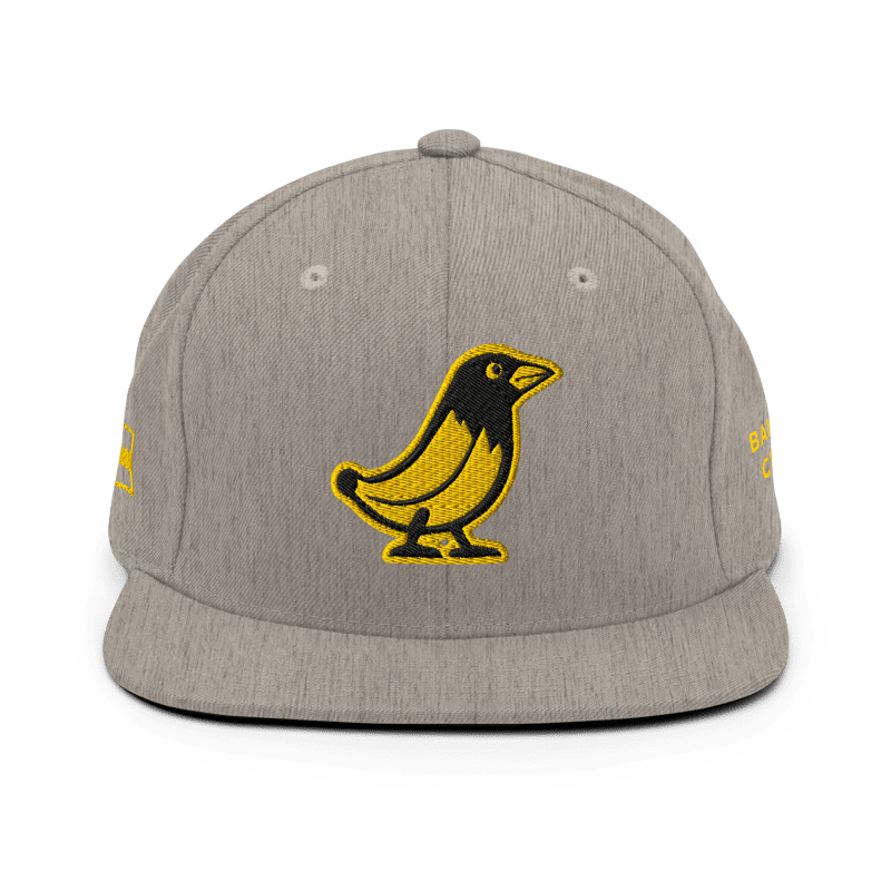 Banana Crow Allegiance embroidered snapback cap in Heather Grey front view